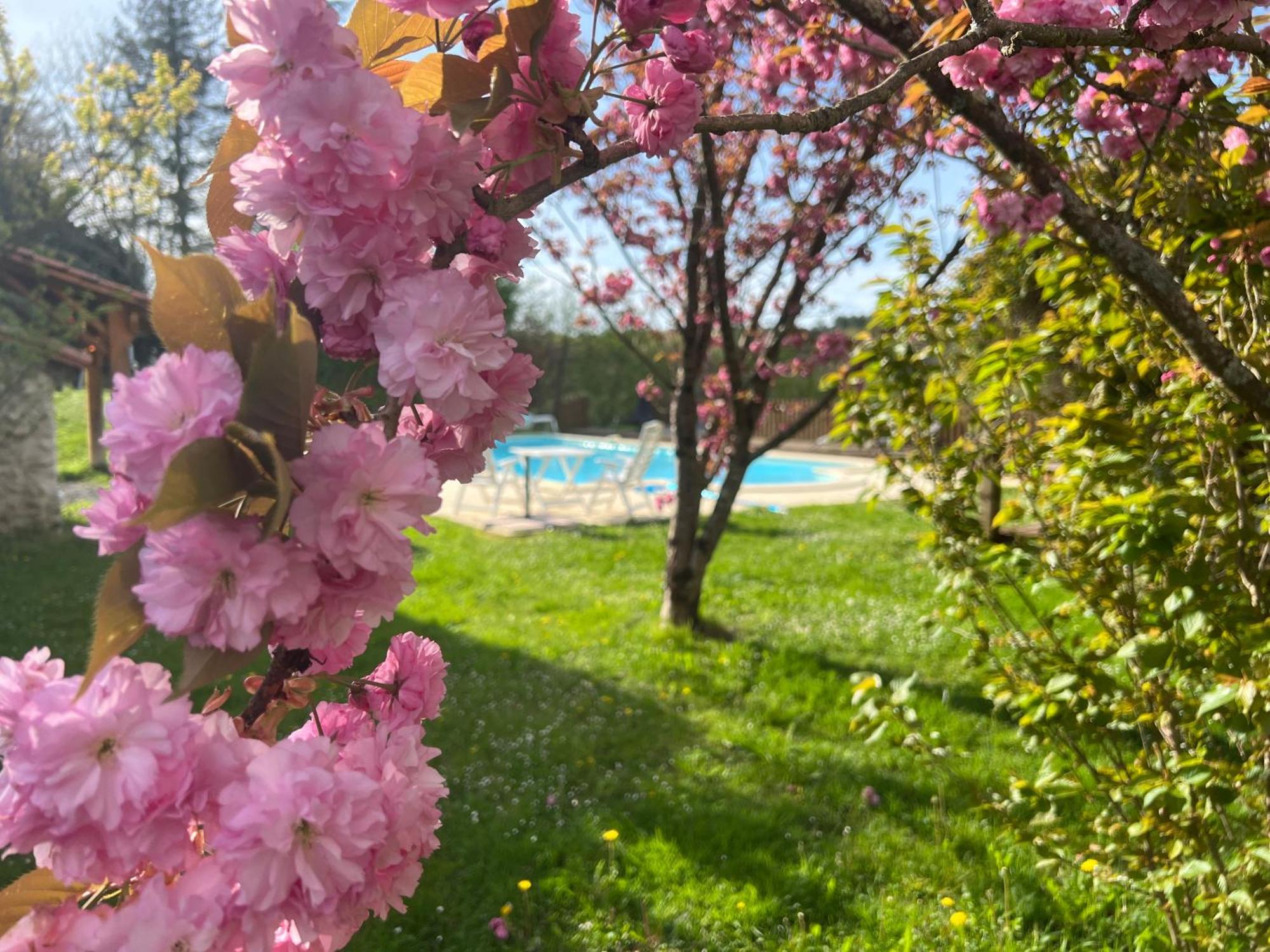 Entire Apartment With Swimming Pool Near Aubeterre Saint-Romain  Dış mekan fotoğraf